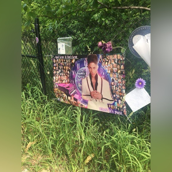 Meet your Posher, Priscilla rosa - Picture 10 of 11